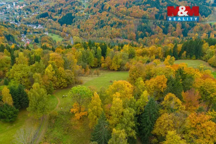 Prodej louky, Tanvald - Šumburk nad Desnou, 1589 m2