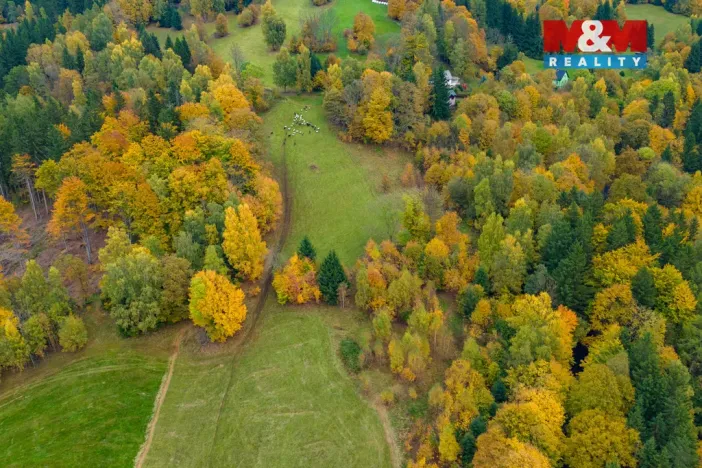 Prodej louky, Tanvald - Šumburk nad Desnou, 1589 m2