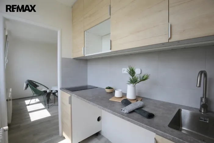 Pronájem bytu 1+kk, Litvínov - Horní Litvínov, Tylova, 26 m2