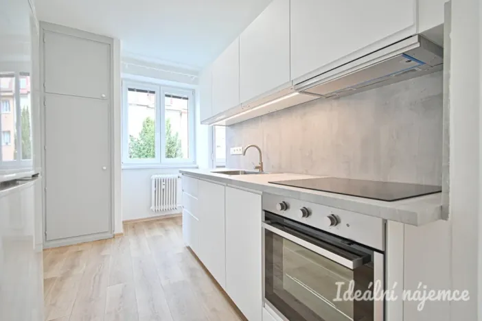 Pronájem bytu 2+1, Brno, Sýpka, 55 m2