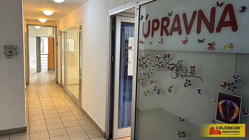 Pronájem obchodního prostoru, Brno - Brno-město, 2500 m2