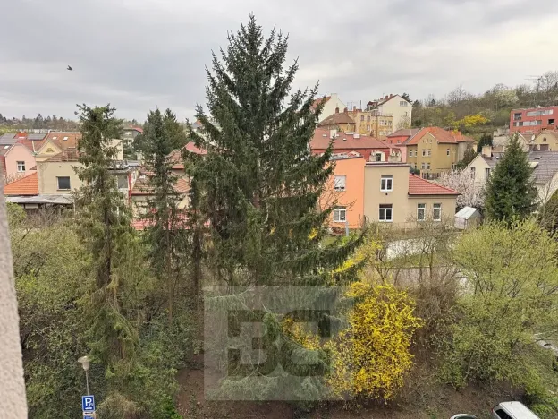 Pronájem bytu 1+1, Brno, Vídeňská, 43 m2