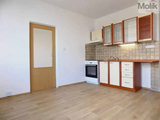 Prodej bytu 1+1, Ústí nad Labem - Severní Terasa, Ladova, 37 m2