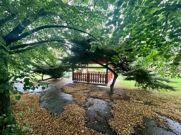 Pronájem bytu 2+kk, Praha - Řepy, Bazovského, 43 m2