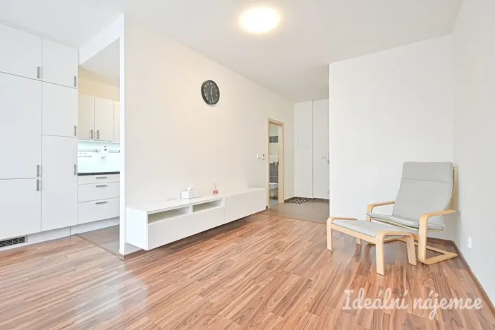 Pronájem bytu 1+kk, Brno, U Leskavy, 38 m2