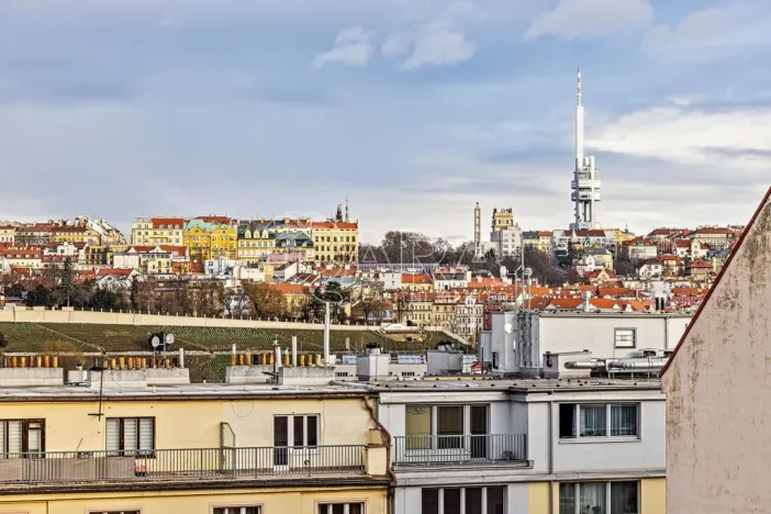 Pronájem bytu 1+kk, Praha - Nusle, V Horkách, 17 m2