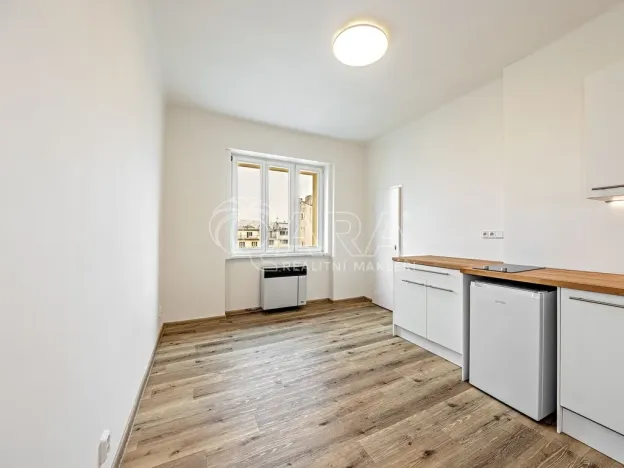 Pronájem bytu 1+kk, Praha - Nusle, V Horkách, 17 m2