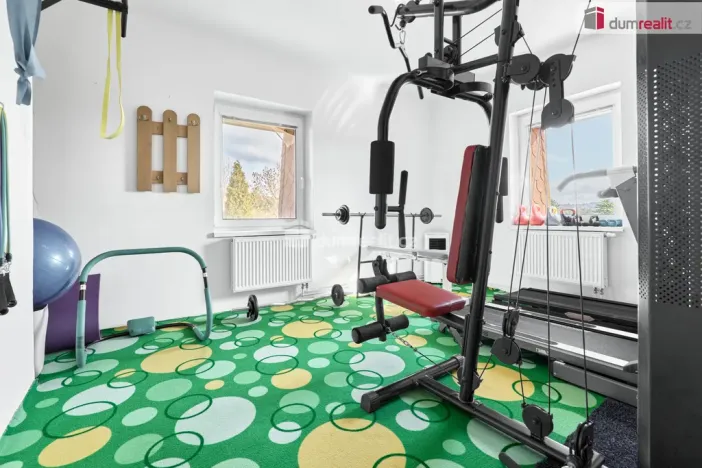 Prodej rodinného domu, Ostrov, Krušnohorská, 340 m2