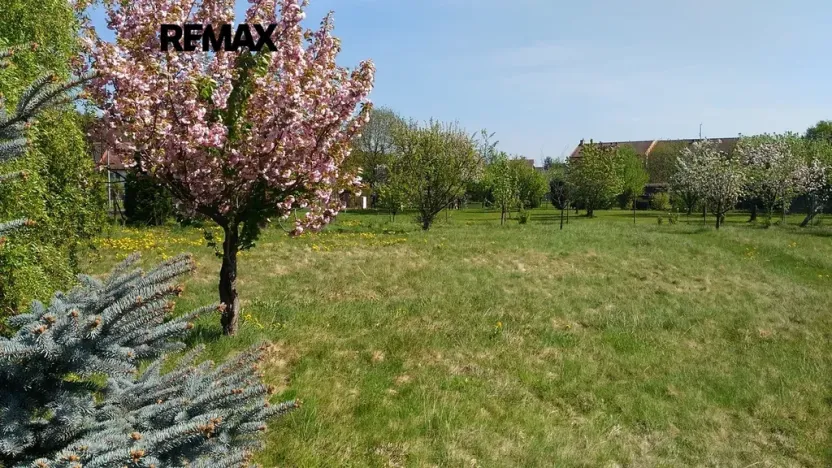 Prodej zahrady, Mikulovice, 1350 m2