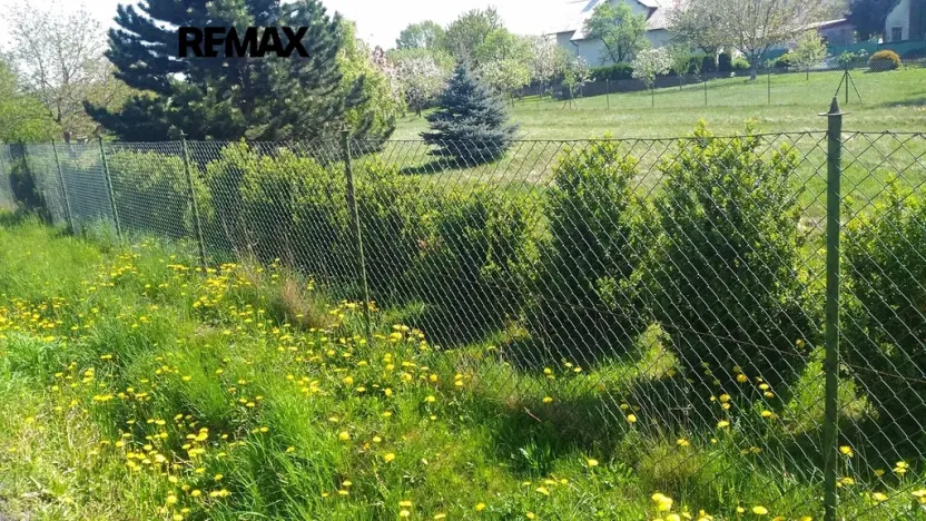 Prodej zahrady, Mikulovice, 1350 m2