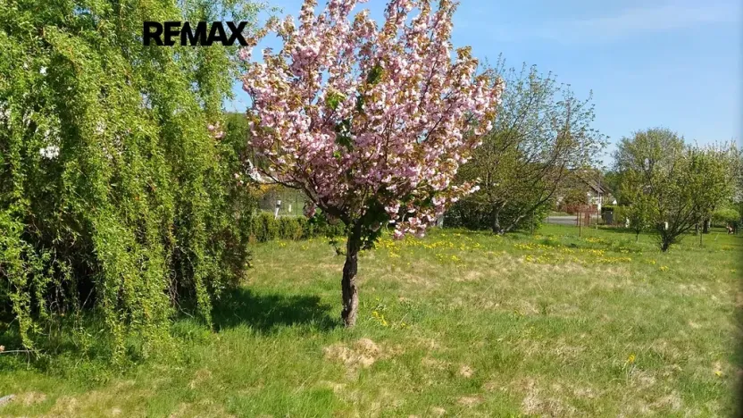 Prodej zahrady, Mikulovice, 1350 m2