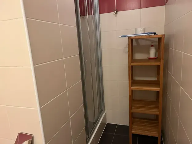 Pronájem bytu 2+kk, Praha - Dejvice, Paťanka, 65 m2