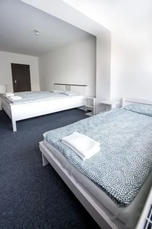 Prodej ubytování, Most, 312 m2