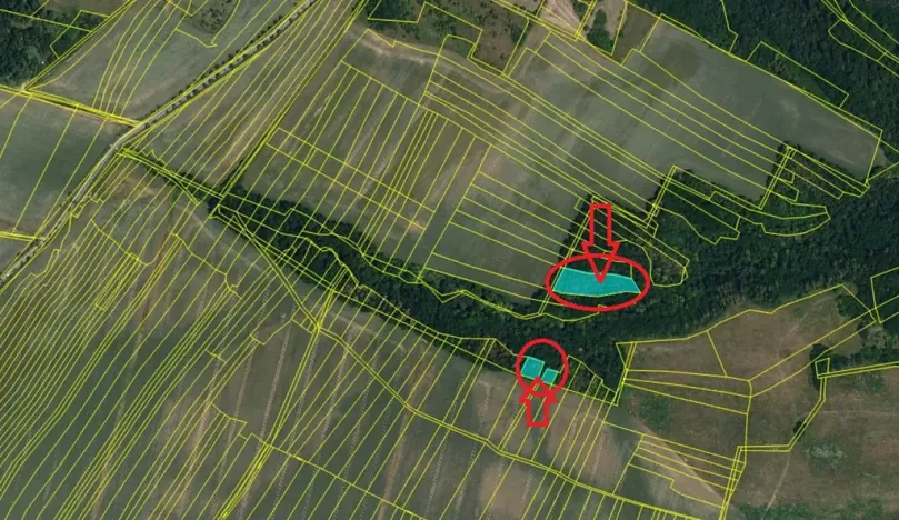 Prodej podílu lesa, Výrovice, 1459 m2