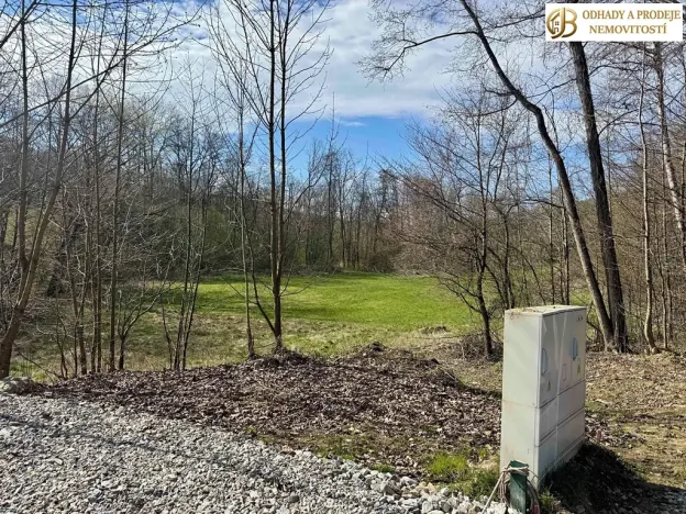 Prodej pozemku pro bydlení, Libina, 8112 m2