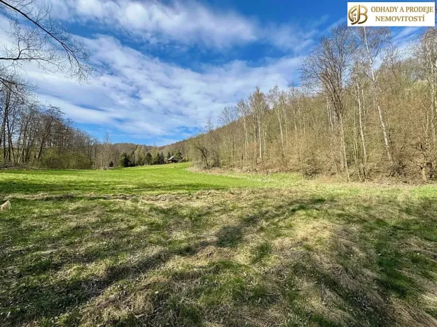 Prodej pozemku pro bydlení, Libina, 8112 m2