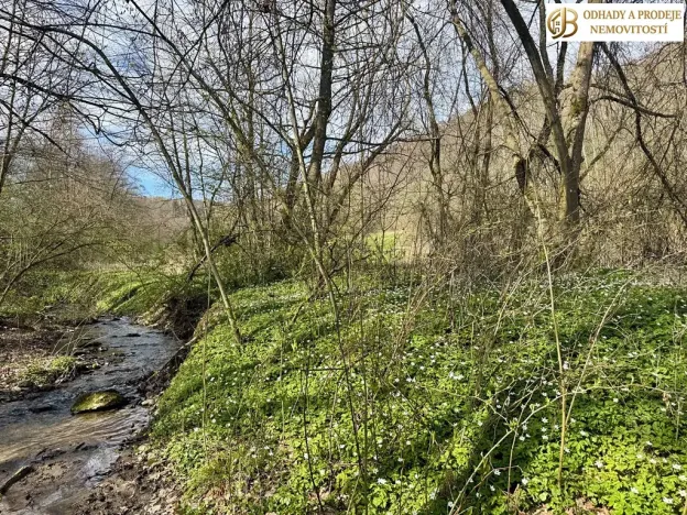 Prodej pozemku pro bydlení, Libina, 8112 m2