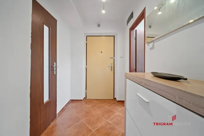 Prodej bytu 2+1, Pardubice - Zelené Předměstí, Wolkerova, 50 m2