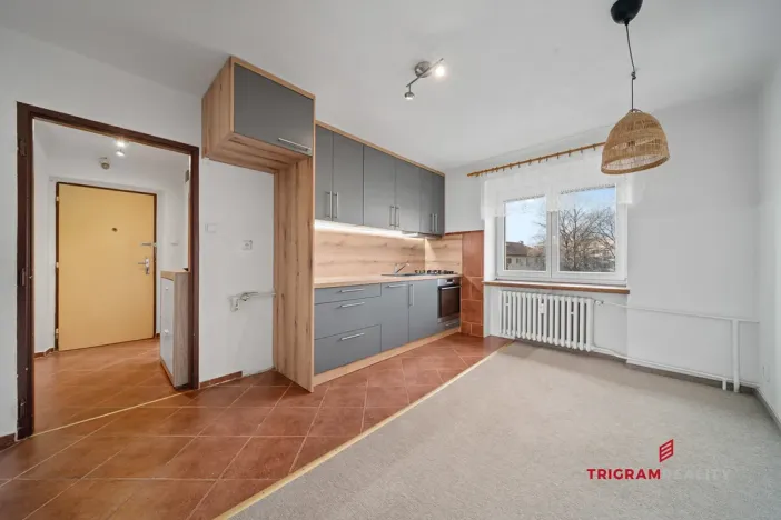 Prodej bytu 2+1, Pardubice - Zelené Předměstí, Wolkerova, 50 m2