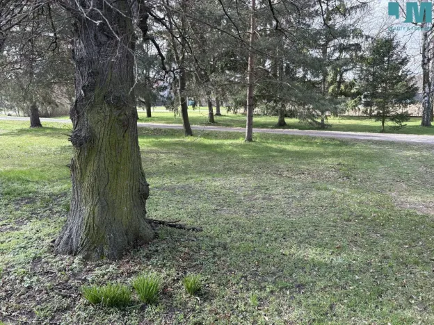 Prodej rodinného domu, Nová Ves I, Legerovo nám., 88 m2