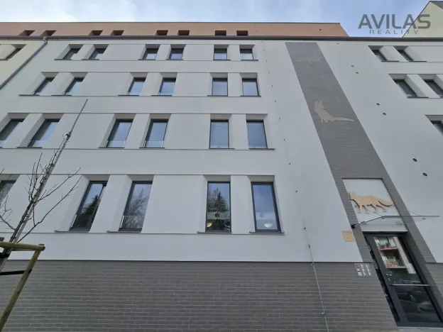 Pronájem bytu 1+kk, Benešov, 102. pluku, 38 m2