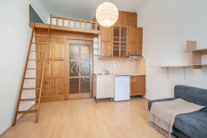 Pronájem bytu 1+kk, Praha - Michle, Magistrů, 22 m2