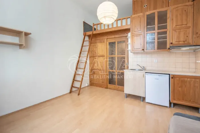 Pronájem bytu 1+kk, Praha - Michle, Magistrů, 22 m2