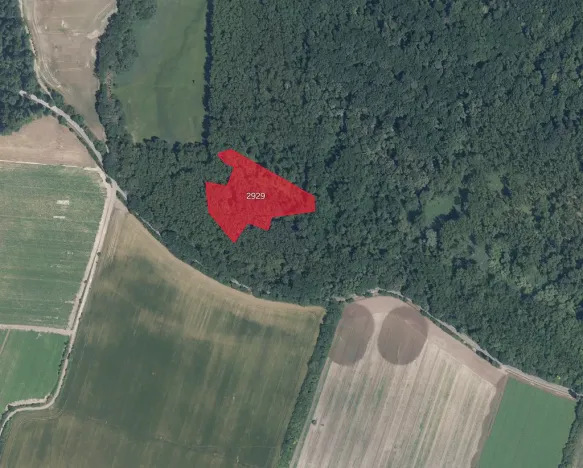 Prodej pole, Přerov nad Labem, 46216 m2