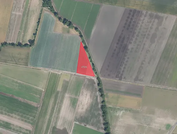 Prodej pole, Přerov nad Labem, 46216 m2