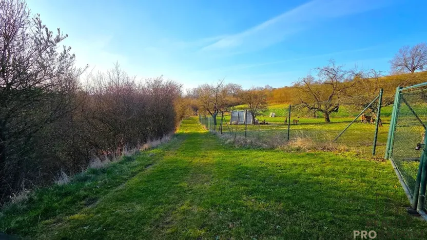 Prodej zahrady, Vyškov, 558 m2