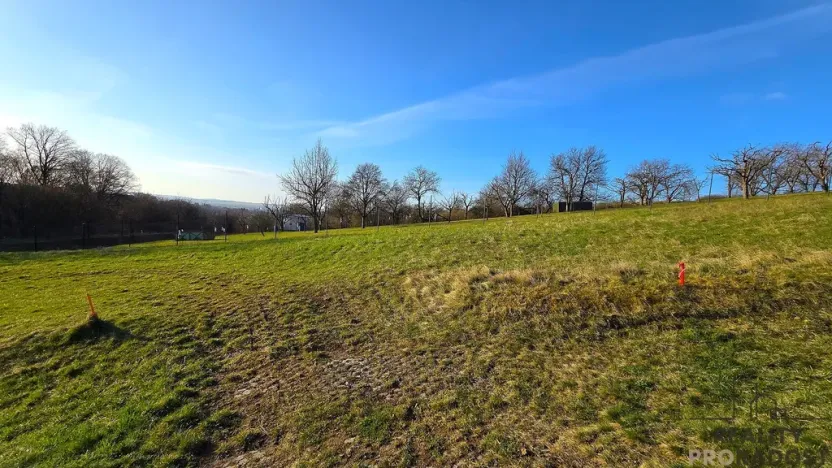 Prodej zahrady, Vyškov, 558 m2