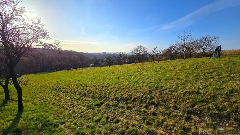 Prodej zahrady, Vyškov, 558 m2
