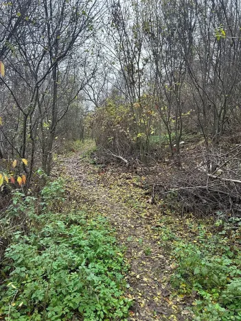 Prodej rodinného domu, Brno, Vinohrady, 235 m2