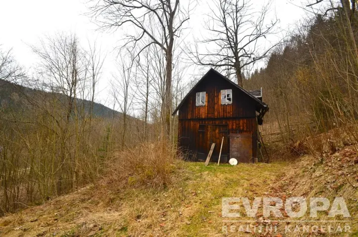 Prodej chalupy, Desná - Desná I, Výletní, 110 m2