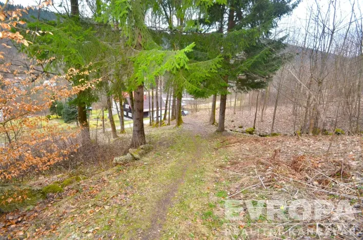 Prodej chalupy, Desná - Desná I, Výletní, 110 m2