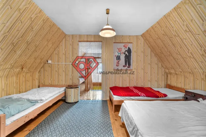 Prodej chalupy, Červená Voda - Horní Orlice, 80 m2