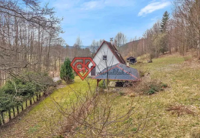Prodej chalupy, Červená Voda - Horní Orlice, 80 m2