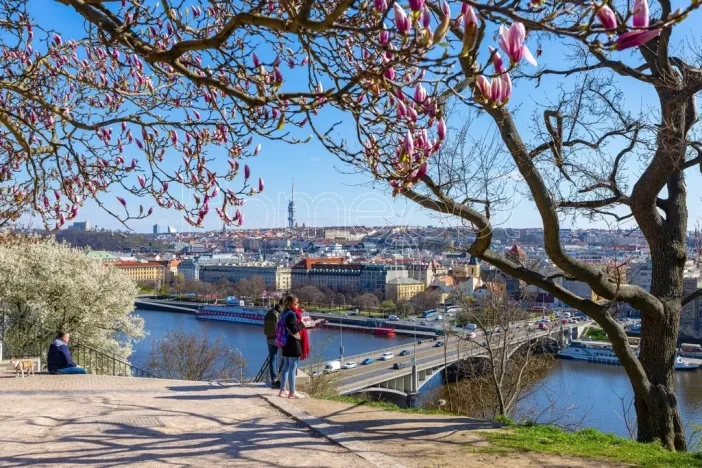Prodej bytu 1+1, Praha - Holešovice, Jirečkova, 53 m2