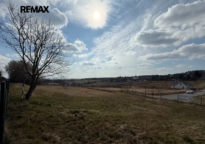 Prodej pozemku pro bydlení, Olšany, 2168 m2