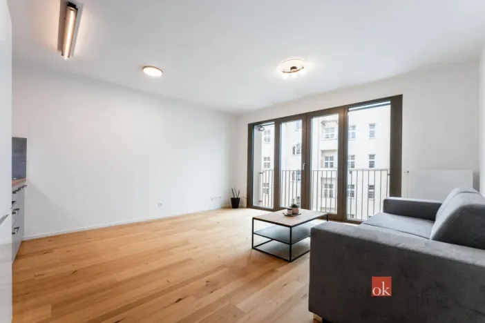 Pronájem bytu 1+kk, Brno - Zábrdovice, Bratislavská, 36 m2