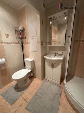 Pronájem bytu 3+1, Kraslice, Pod nádražím, 74 m2