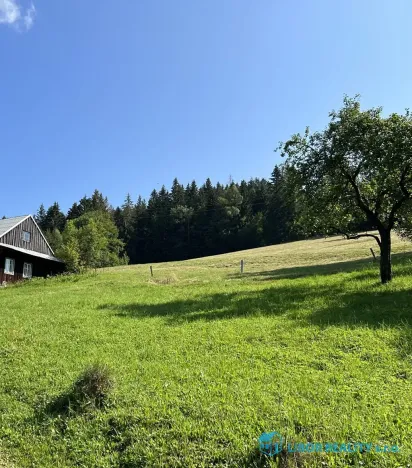 Prodej lesa, Krásná, 21810 m2