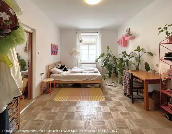 Pronájem bytu 1+1, Brno, Gorkého, 40 m2