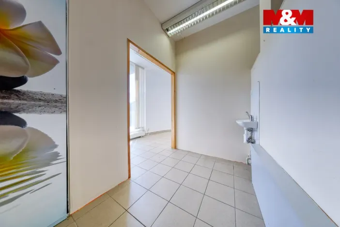 Pronájem obchodního prostoru, Písek, Čechova, 53 m2