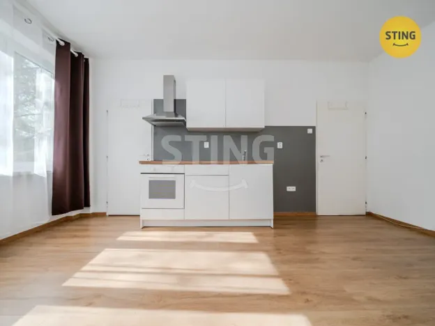 Pronájem bytu 1+kk, Ostrava, Francouzská, 21 m2