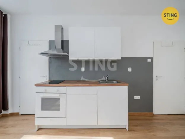 Pronájem bytu 1+kk, Ostrava, Francouzská, 24 m2