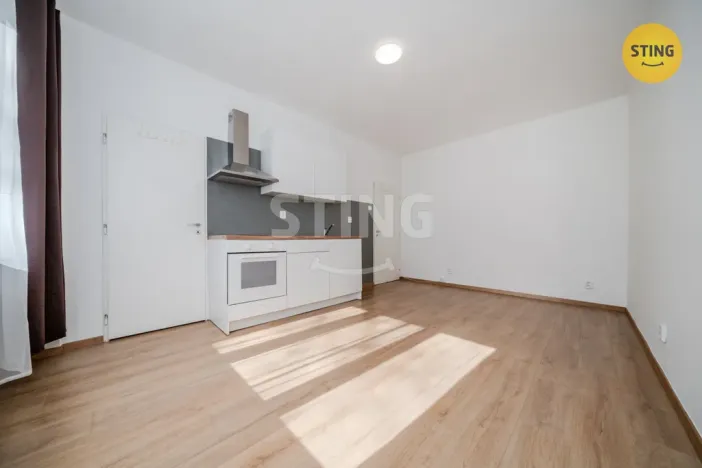 Pronájem bytu 1+kk, Ostrava, Francouzská, 24 m2