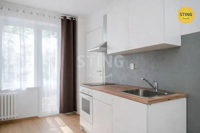 Pronájem bytu 1+kk, Ostrava, Francouzská, 24 m2
