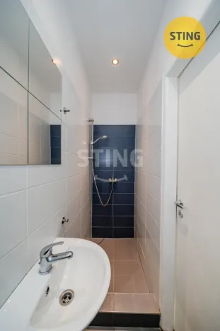 Pronájem bytu 1+kk, Ostrava, Francouzská, 24 m2