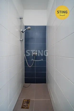 Pronájem bytu 1+kk, Ostrava, Francouzská, 24 m2